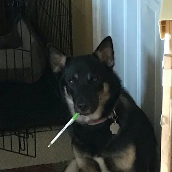 Offers‎ Welcome - Picture 6 of 10